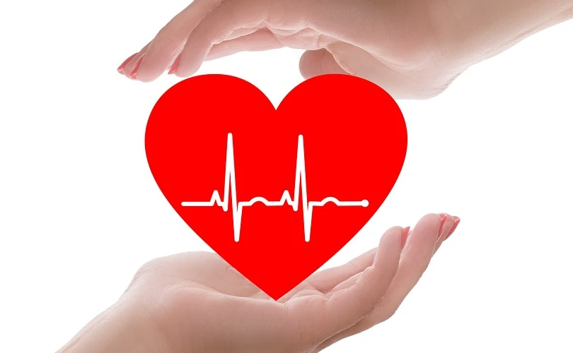 Concerns Regarding the Cardiovascular System Caused by Chronic Cannabis Use