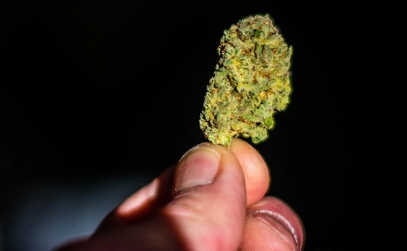 Effects of Legalizing Cannabis on Teenagers: More Use and Addiction