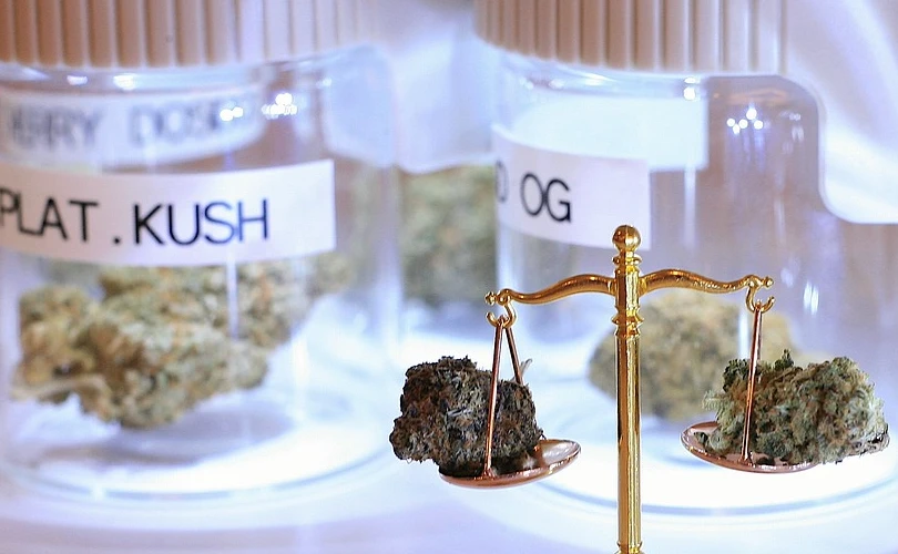 If Cannabis Were to Be Legalized, What Are Some Potential Adverse Effects on the Economy?